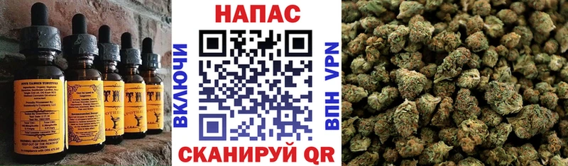 мега   Нефтекумск  Cannafood конопля  даркнет какой сайт  как найти закладки 