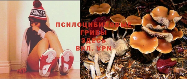 спайс Алексин
