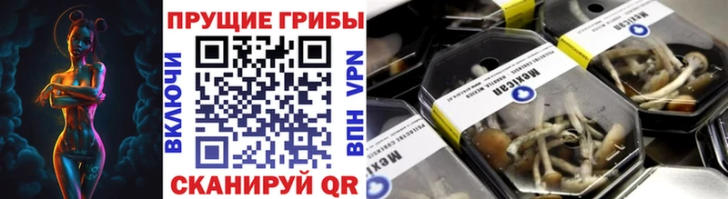 что такое Нефтекумск Псилоцибиновые грибы GOLDEN TEACHER